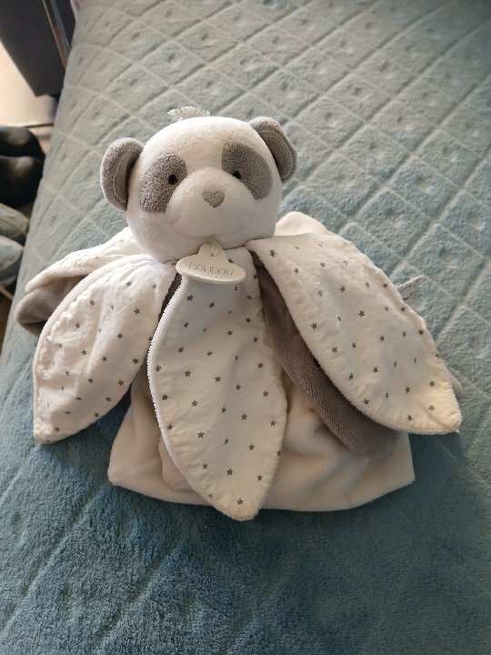 panda blanche et gris