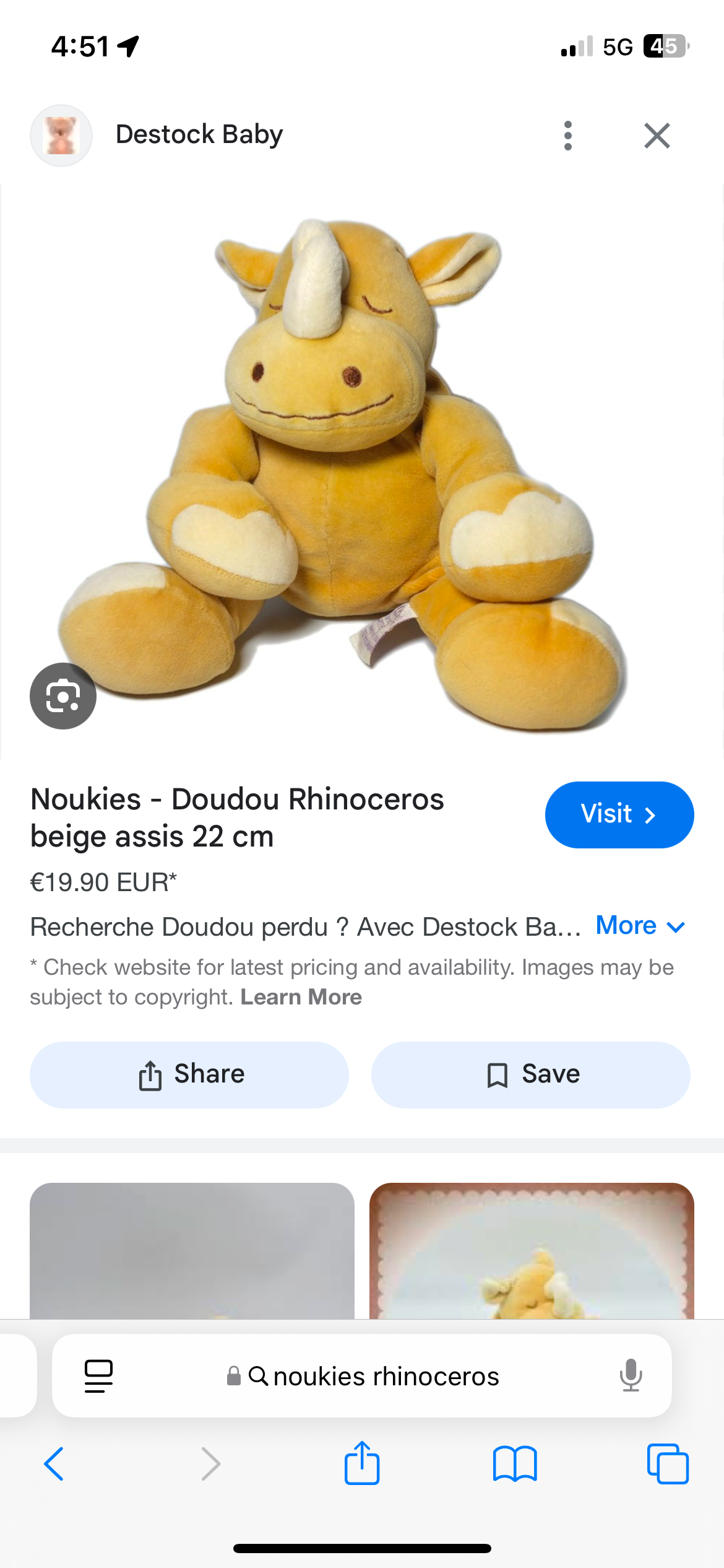 Rhinoceros noukies