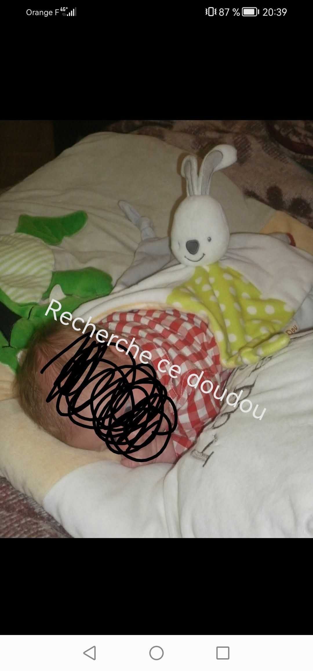 Recherche doudou lapin