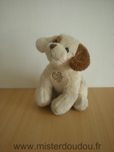 Chien Beige marron Gipsy