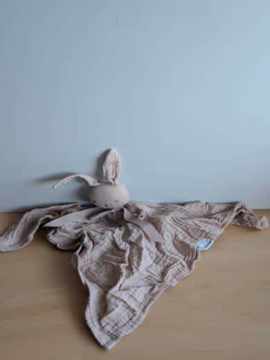 Lapin Tex