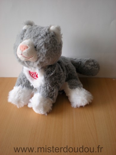 Chat Blanc gris Gipsy