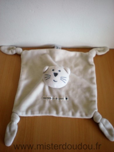 Chat Blanc Bout chou