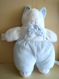 Chat Bleu blanc Gipsy