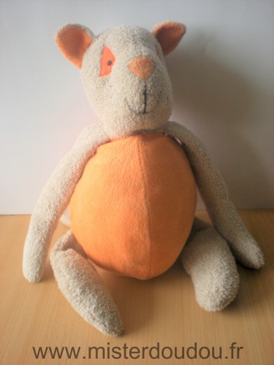 Chat Beige orange Jardin dulysse