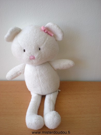 Chat Blanc neourd rose Sergent major