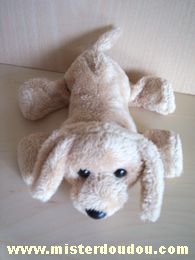 Chien Beige Marque Inconnue