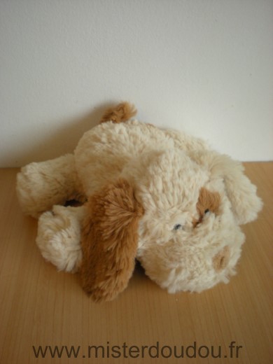 Chien Beige marron Aloha