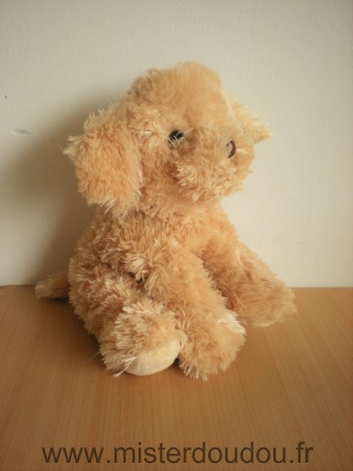 Animal alley Chien Peluche beige billes marron pour les yeux nez cousu marron - Très bon état