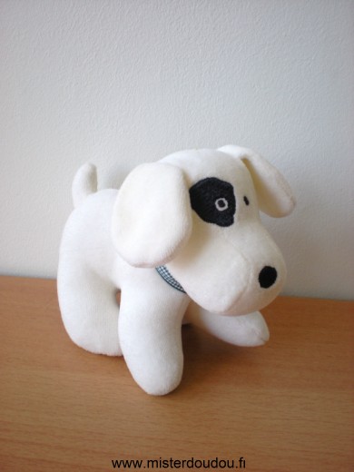 Chien Blanc cocard à l'oeil droit Berlingot
