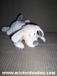 Chien Beige et gris Ciad