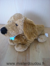 Cmp Chien Marron écusson bleu spa - Très bon état