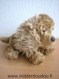 Cmp Chien Marron type cocker - Très bon état