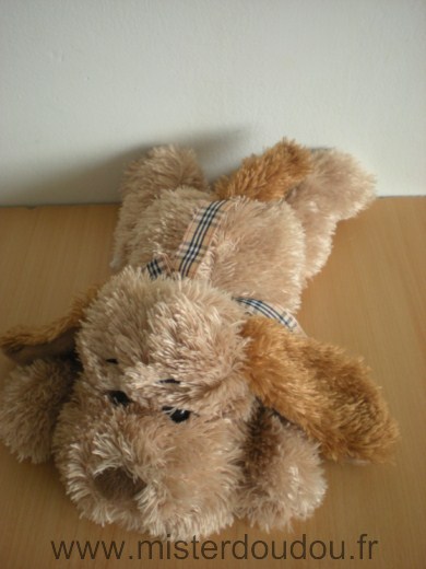 Chien Beige marron Cobico