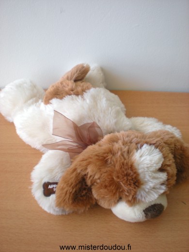 Chien Beige marron Cobico