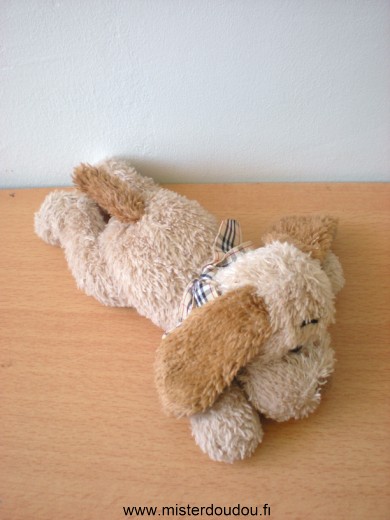 Chien Beige marron Cobico