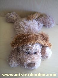 Chien Beige marron noeud carreau marron noir Cobico