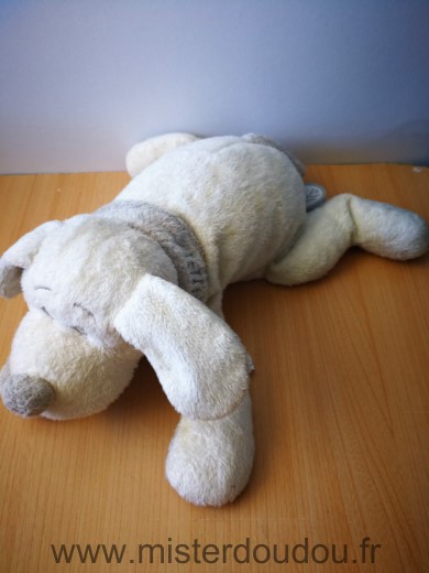 Dimpel Chien Blanc echarpe grise - Très bon état