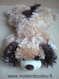 Chien Beige marron Gipsy