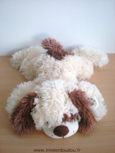 Chien Beige marron Gipsy