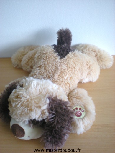 Chien Beige marron Gipsy