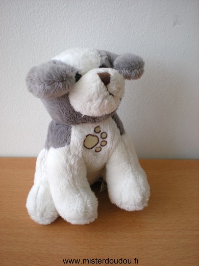 Chien Blanc gris patte sur la poitrine Gipsy