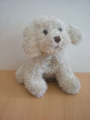 Chien Ecru Gipsy