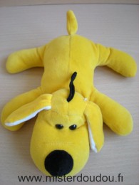 Chien Jaune Gipsy