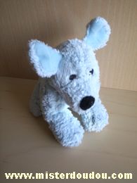 Chien Bleu clair Marque Inconnue