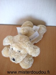 Chien Beige Mod8