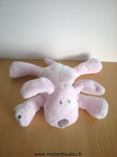 Chien Rose coccard blanc Obaibi okaidi