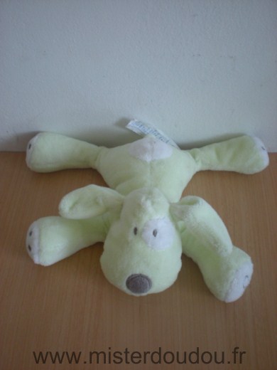 Chien Vert cocard blanc Obaibi okaidi