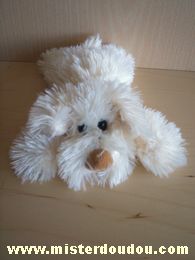 Paws Chien Ecru - Etat moyen