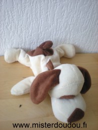 Chien Ecru marron ruban marron Plein nord