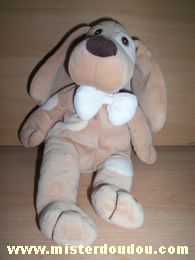 Chien Marron taché de beige Priscilla larsen