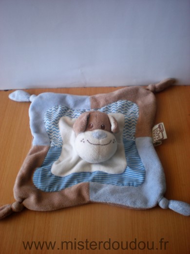 Chien Bleu blanc beige Saro