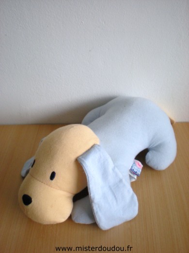 Chien Bleu bleige Sucre d orge
