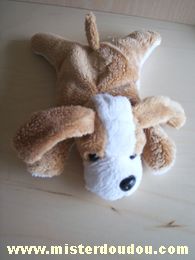 Chien Beige blanc Marque Inconnue