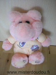 Cochon Rose orange motifs cake milk .. Ajena
