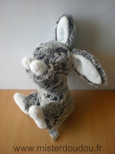 Lapin Marron chine blanc Dream international