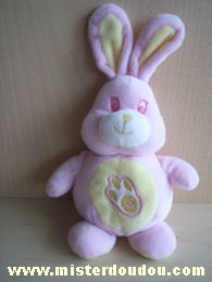 Lapin Rose jaune Gipsy
