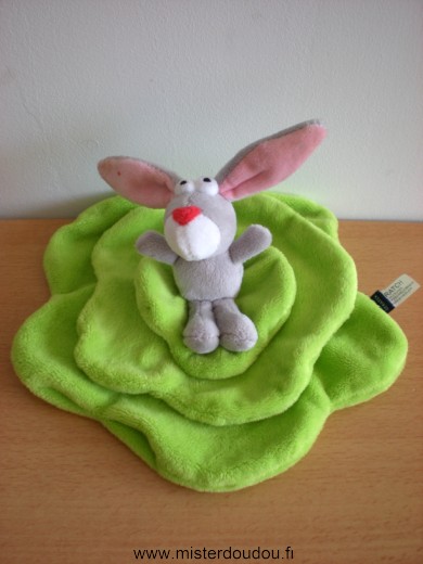 Lapin Lapin gris sur salade verte Scratch