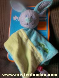 Lapin Bleu-vert Tex
