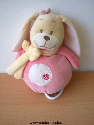 Tex Lapin Rose jaune coccinelle rouge - Bon état
