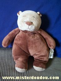 Tcf Ours Marron - Très bon état