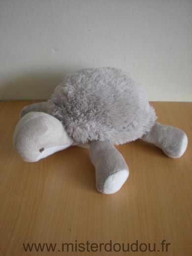 Bnp Tortue Gris blanc - Très bon état