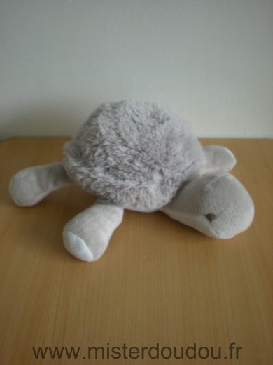 Bnp Tortue Gris blanc - Très bon état