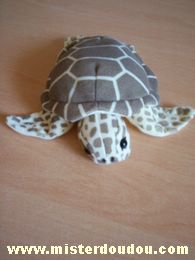 Marque Inconnue Tortue Marron - Très bon état